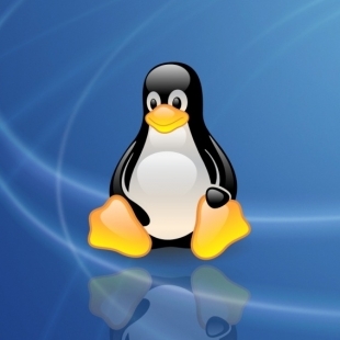 企业级编程技术培训之linux内核编程